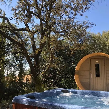 Royale: Luxurious Retreat With Heated Pool Bed & Breakfast Nyons