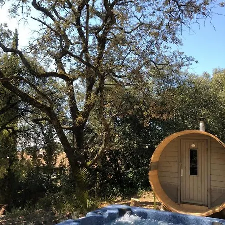 Royale: Luxurious Retreat With Heated Pool Nyons